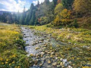 Teren intravilan panoramic 4.600mp,view iconic Piatra Craiului,oportunitate premium — miniatura 5