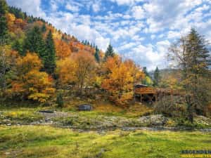 Teren intravilan panoramic 4.600mp,view iconic Piatra Craiului,oportunitate premium — miniatura 6