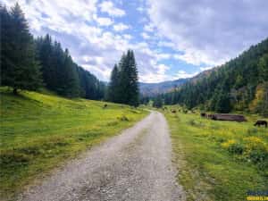 Teren intravilan panoramic 4.600mp,view iconic Piatra Craiului,oportunitate premium — miniatura 7
