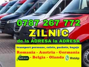 transport persoane colete Timisoara Austria Germania plecari zilnice — miniatura 2