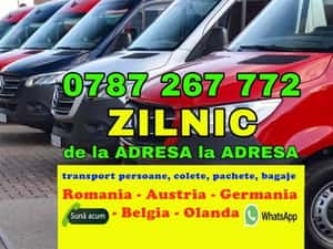 transport persoane colete Timisoara Austria Germania plecari zilnice — miniatura 3