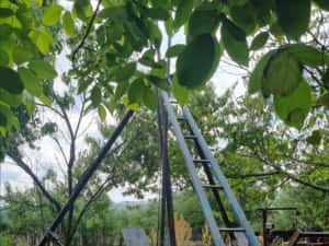 Foraje puțuri apă — miniatura 2