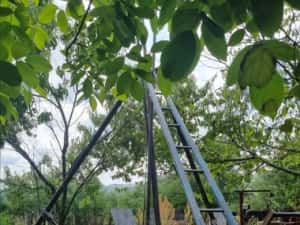 Foraje puțuri apă — miniatura 6