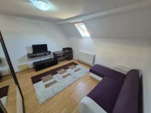 1 Cam-Buziasului-5 Min Spitalul Judetean-Centrala-Mobilat- 33MP- 51.000 Euro! Negociabil — miniatura 3
