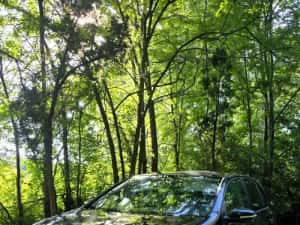 Volkswagen Golf 6 ,Automat , 2013, 191000 km,1.2 tsi ,105 cp ,impecabil ! — miniatura 10