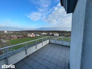 Lumina, liniste, aer curat — miniatura 6