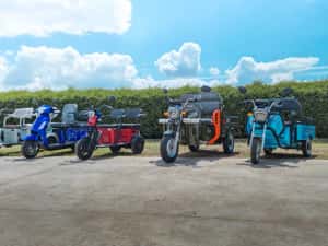 Scutere si Tricicluri electrice Radauti, Auto Trio — miniatura 8