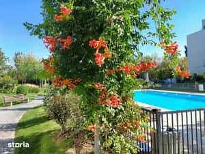 Apartament modern, complet mobilat, de închiriat – Atria Urban Resort — miniatura 4