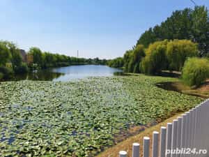 4000 mp.Lac de nuferi ,100 kVA curent, apa , canal , gaz, 
