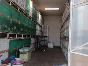 CAMION APICOL Iveco Eurocargo — miniatura 6