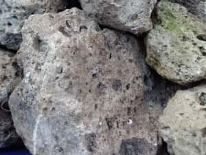 Roca filtranta, vulcanică, decorativa pentru acvarii, crapi koi,carasi