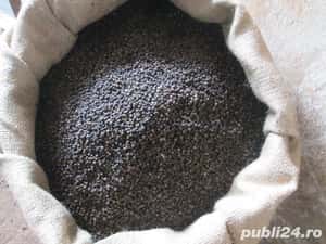 Piper negru boabe 560g/l Brazilia en-gros — miniatura 1