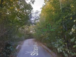 Teren Ramnicu Valcea / 28 Ha — miniatura 3