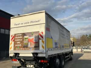 Vand Scania P310 — miniatura 7