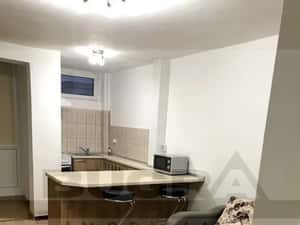 Apartament 1 camera, 30 mp, recent renovat, zona Profi — miniatura 5