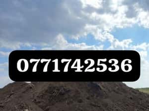 Pamant negru vegetal de gradina — miniatura 3