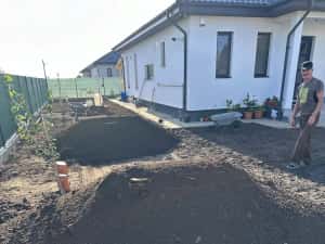 Pamant negru pentru gazon