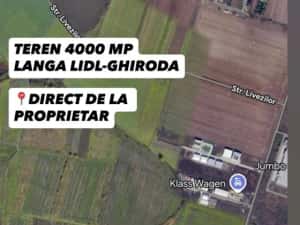 Teren 4000 mp Ghiroda – poziție excelentă, lângă Lidl și drum expres