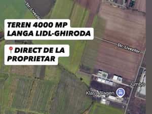 Teren 4000 mp Ghiroda – poziție excelentă, lângă Lidl și drum expres — miniatura 5
