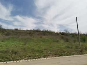 Teren intravilan 5400mp Valea Lupului — miniatura 5