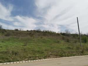 Teren intravilan 5400mp Valea Lupului — miniatura 8