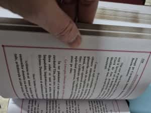 Ceaslov legat în piele naturală — miniatura 3