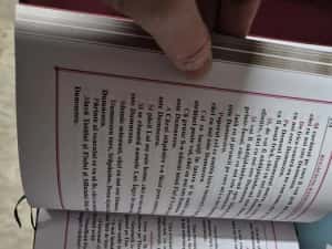 Ceaslov legat în piele naturală — miniatura 10