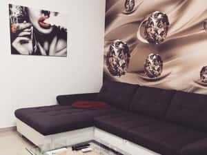 inchiriere apartament cu 2 camere decomandat Stirbei Voda — miniatura 3