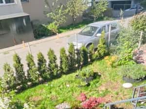 Metrou Berceni 2 camere mobilat utilat si curte de 57 mp — miniatura 5