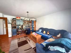 Apartament 2 camere Sagului, spatios , etaj intermediar — miniatura 3