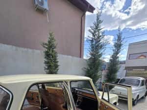 Alfa Romeo Giulia Super 1300 - An 1975 masina de Epoca –  de c — miniatura 7