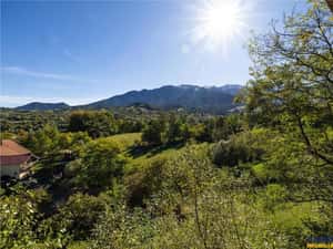 FILM! Proprietate notabila,ocazie personalizare, aprecat areal: Bran, Brasov — miniatura 3