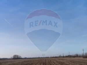 Teren intravilan - PUZ Lugoj / DN centura ocolitoare a Lugojului — miniatura 3