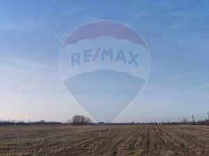 Teren intravilan - PUZ Lugoj / DN centura ocolitoare a Lugojului — miniatura 4