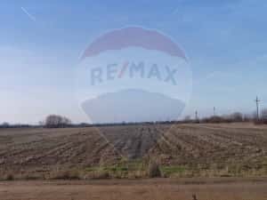 Teren intravilan - PUZ Lugoj / DN centura ocolitoare a Lugojului — miniatura 5