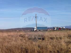 Teren intravilan - PUZ Lugoj / DN centura ocolitoare a Lugojului — miniatura 6