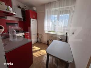 Apartament cu 1 camera de inchiriat, 22 mp - Rogerius — miniatura 5