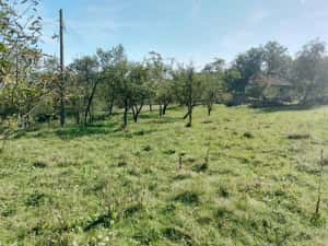 1,5 ha cu 2 case vechi, livadă și izvor lângă Via Transilvanica — miniatura 3