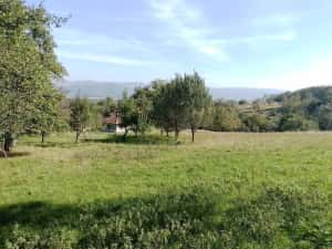 1,5 ha cu 2 case vechi, livadă și izvor lângă Via Transilvanica — miniatura 5