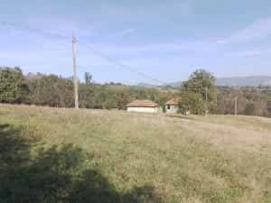 1,5 ha cu 2 case vechi, livadă și izvor lângă Via Transilvanica — miniatura 6