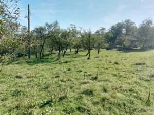 1,5 ha cu 2 case vechi, livadă și izvor lângă Via Transilvanica — miniatura 7