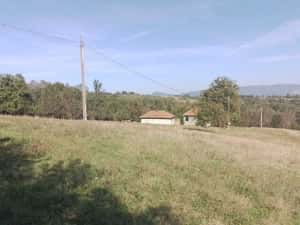 1,5 ha cu 2 case vechi, livadă și izvor lângă Via Transilvanica — miniatura 10