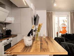Apartament de 2 camere, mobilat, parcul carol