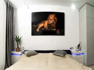 Apartament de 2 camere, mobilat, parcul carol — miniatura 5
