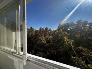 Apartament 2 camere de inchiriat — miniatura 6