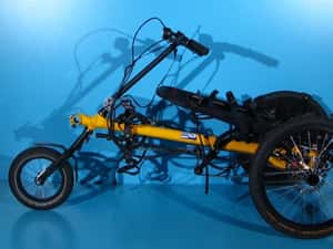 Tricicleta adaptiva  pentru copii Hase Trets — miniatura 2