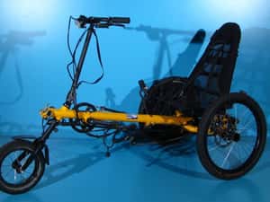 Tricicleta adaptiva  pentru copii Hase Trets — miniatura 4