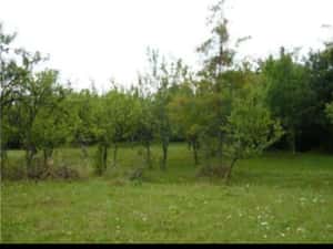 Teren Intravilan Teișani 3550mp - Acces Asfaltat - Oportunitate Unică — miniatura 3