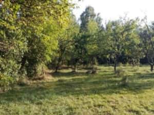 Teren Intravilan Teișani 3550mp - Acces Asfaltat - Oportunitate Unică — miniatura 4