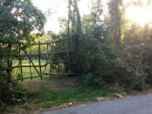 Teren Intravilan Teișani 3550mp - Acces Asfaltat - Oportunitate Unică — miniatura 5